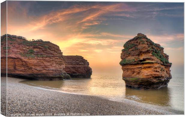 Ladram Devon Canvas Print by Stuart Wyatt