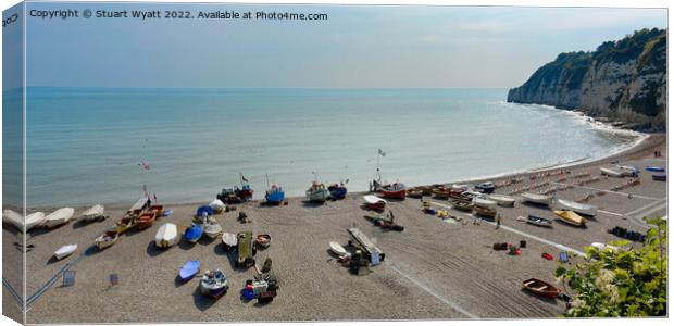 Beer Beach, South Devon Canvas Print by Stuart Wyatt