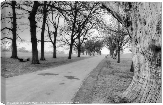 Brockwell Park, Brixton Canvas Print by Stuart Wyatt