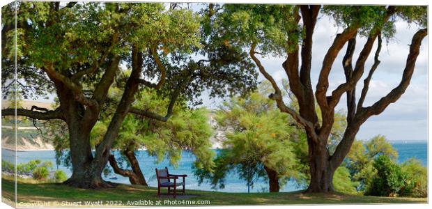 A seat in the shade Canvas Print by Stuart Wyatt