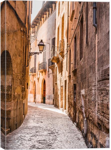 Old town of Palma Canvas Print by Alex Winter