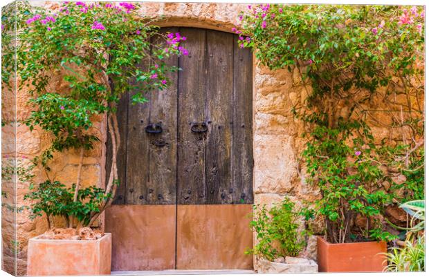 Old door with potted plants decoration Canvas Print by Alex Winter