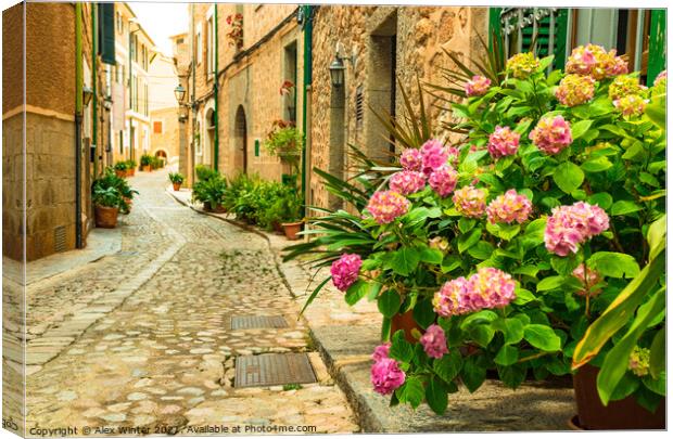 Flowers street in Fornalutx Canvas Print by Alex Winter