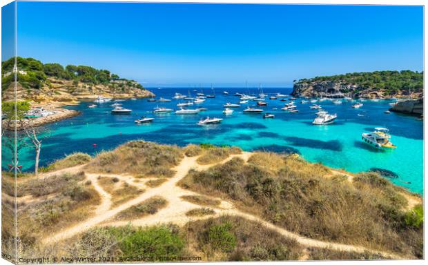 Portals Vells with many luxury yachts Canvas Print by Alex Winter