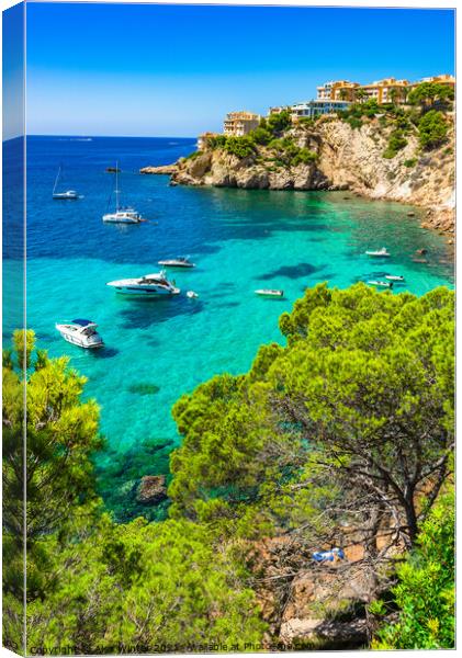 Costa de la Calma, Spain Canvas Print by Alex Winter