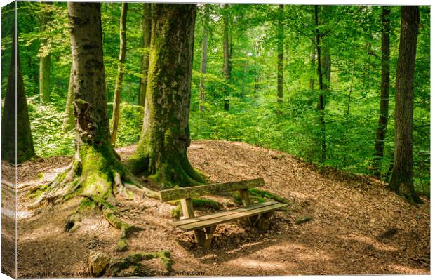 Idyllic place Enchanting Forest Bench Canvas Print by Alex Winter