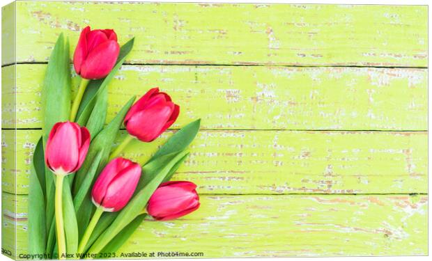 Bouquet of tulips Canvas Print by Alex Winter