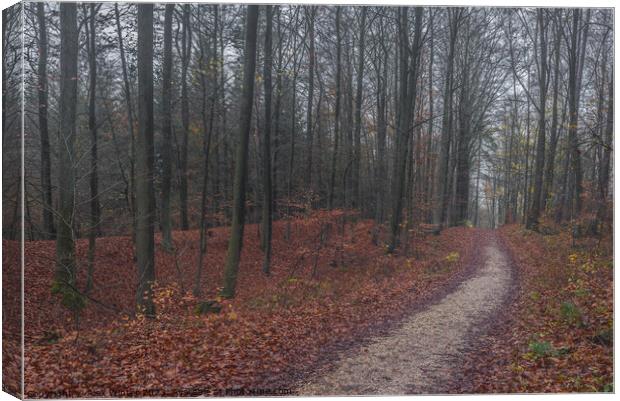 foggy at autumn Canvas Print by Alex Winter