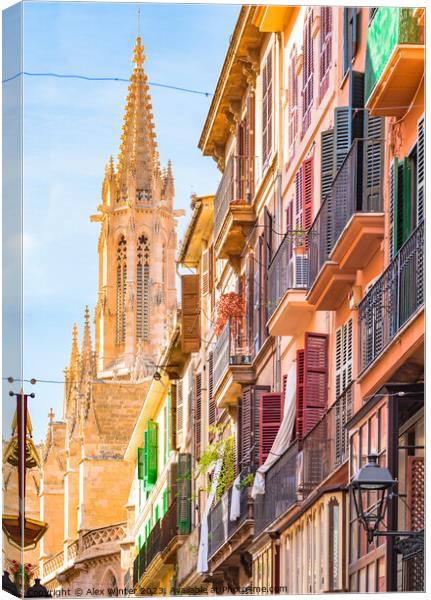 Palma de Majorca, historic city center Canvas Print by Alex Winter