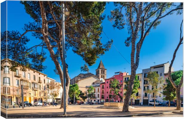 Old town of Palma de Mallorca Canvas Print by Alex Winter