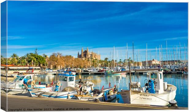 Fishing harbor port of Palma de Majorca Canvas Print by Alex Winter