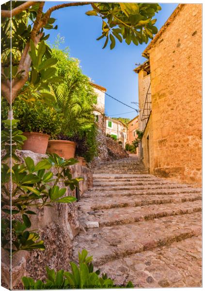 Beautiful street in Fornalutx village on Mallorca Canvas Print by Alex Winter