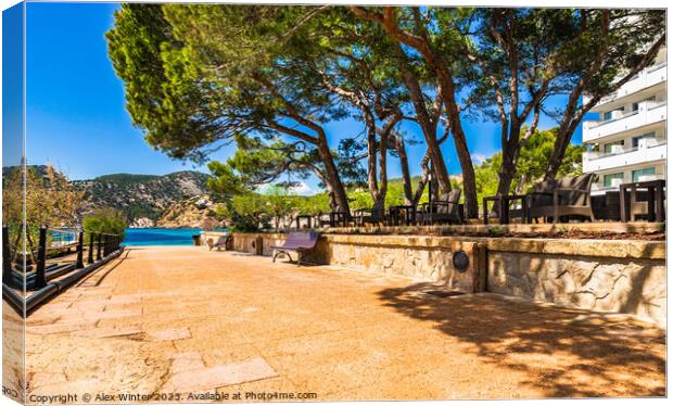 Tourist resort of Camp de Mar Canvas Print by Alex Winter