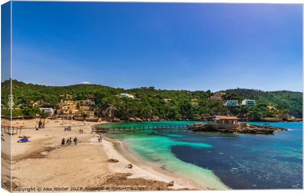 Camp de Mar, Majorca Spain, Balearic islands Canvas Print by Alex Winter