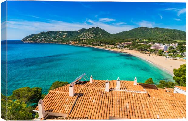 balearic islands Canvas Print by Alex Winter