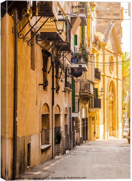 Street view in Palma de Majorca Canvas Print by Alex Winter
