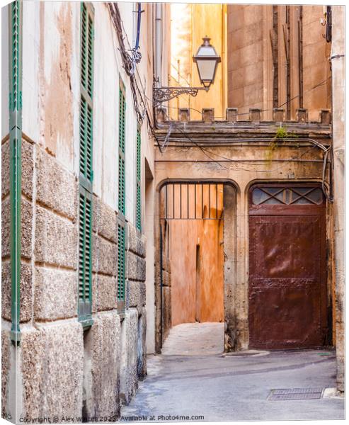 Palma de Majorca, Spain Canvas Print by Alex Winter