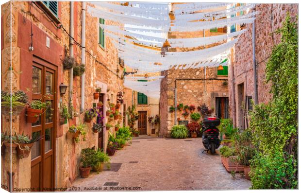 Street with beautiful flowers in Valldemossa Canvas Print by Alex Winter