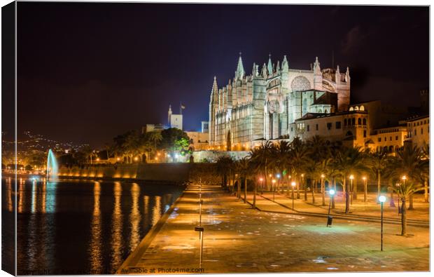 Majorca Spain Gothic Majesty in the Dark Canvas Print by Alex Winter