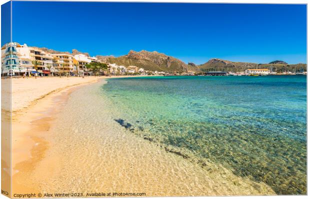 Beautiful sand beach at bay of Pollensa Canvas Print by Alex Winter