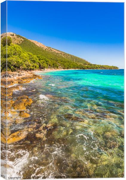 View of bay beach of Platja de Formentor Canvas Print by Alex Winter