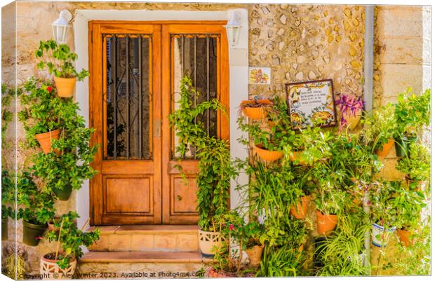 Typical potted plants village of Valldemossa Canvas Print by Alex Winter