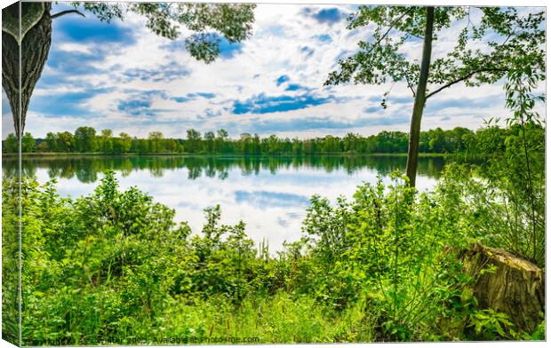 Tranquil scene with lake and green trees Canvas Print by Alex Winter