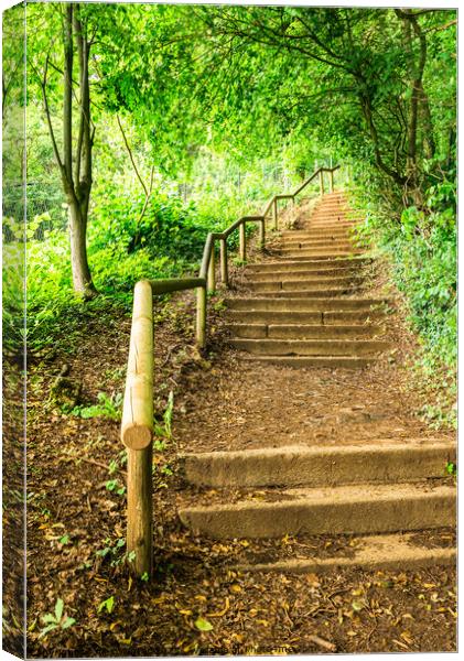 Green forest staircase steps Canvas Print by Alex Winter