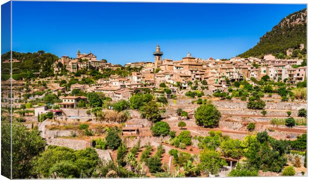 valldemosa majorca Canvas Print by Alex Winter