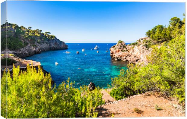 Cala Deia beach  Canvas Print by Alex Winter