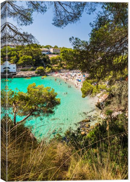Beach of Cala Santanyi bay on Majorca Canvas Print by Alex Winter