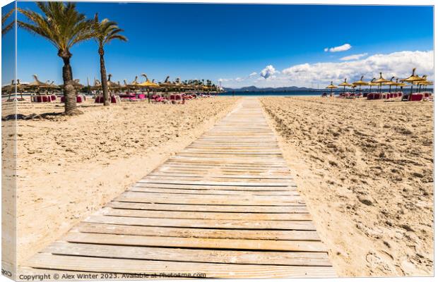 Wooden footpath on the sand beach Canvas Print by Alex Winter