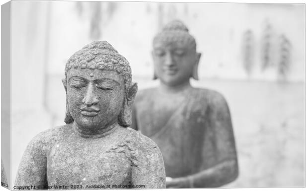 Serene Two Buddha statues Canvas Print by Alex Winter