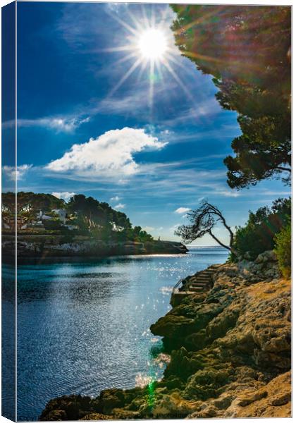 Beautiful bay on Majorca Canvas Print by Alex Winter