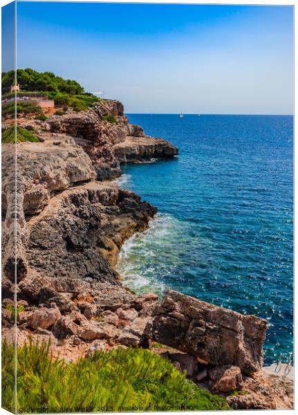 Rocky coast on Mallorca Canvas Print by Alex Winter