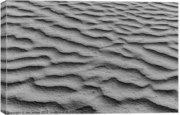 Close-up of sand dune background texture Canvas Print by Alex Winter