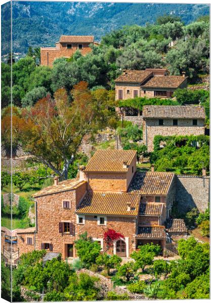 A Rustic Mediterranean Fornalutx village, Spain Canvas Print by Alex Winter