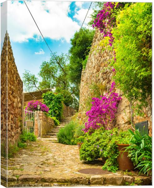 Idyllic view of beautiful flowers street in old vi Canvas Print by Alex Winter