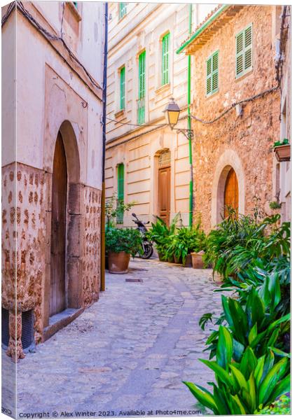 Mediterranean village, Discover the Idyllic Beauty Canvas Print by Alex Winter