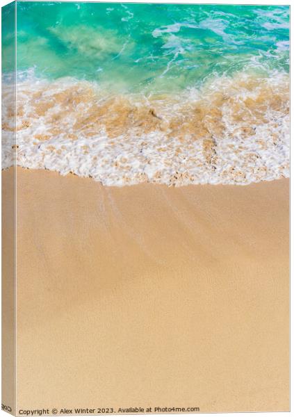 Summer holiday on sand beach background Canvas Print by Alex Winter