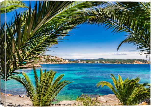Stunning Seaside Paradise in Cala Fornells Canvas Print by Alex Winter