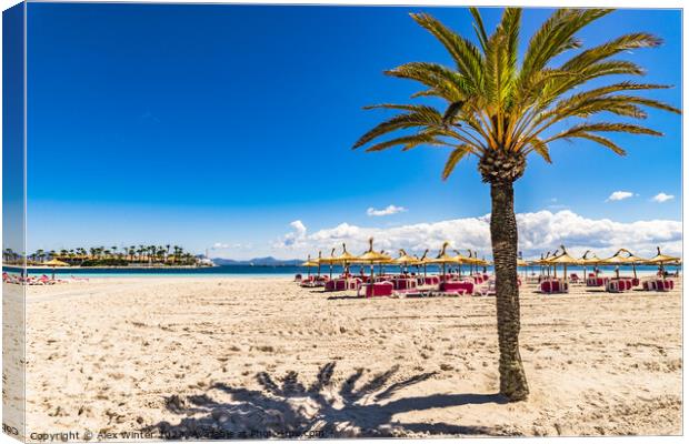 Alcudia beach Canvas Print by Alex Winter