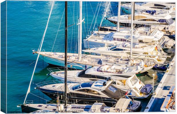 Luxury yachts boats anchored at marina Canvas Print by Alex Winter