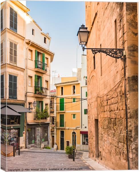 Street in the old town of Palma de Mallorca, Spain Canvas Print by Alex Winter