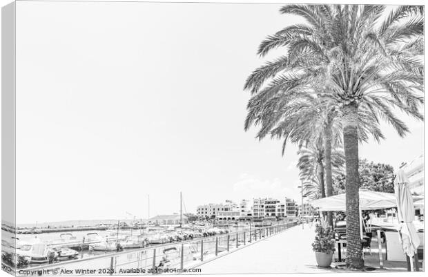 Promenade of port in Cala Bona on Mallorca island, Canvas Print by Alex Winter