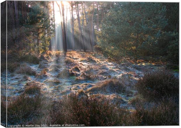 Frosty Sunrays Paint the Woodland Canvas Print by Martin Day