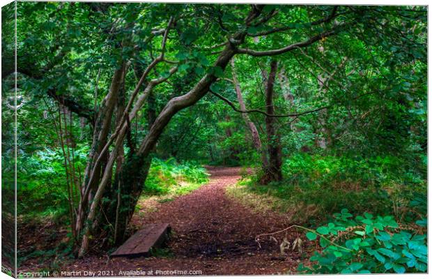 Enchanted Woodland Path: A Walk Through Ancient Wo Canvas Print by Martin Day