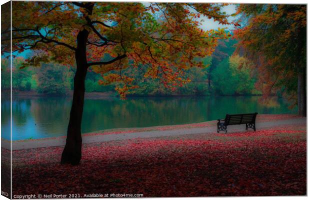 Taking in the Autumn Canvas Print by Neil Porter