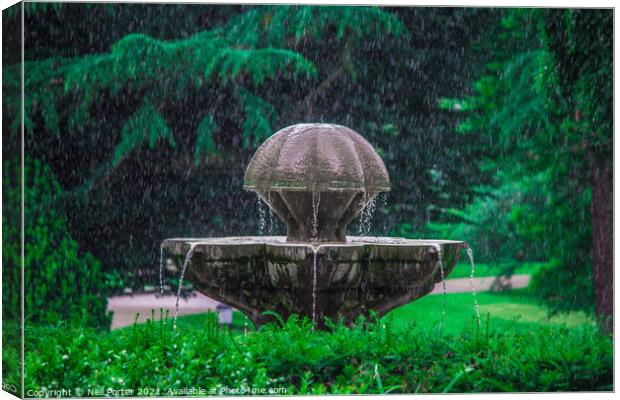 Downpour Canvas Print by Neil Porter