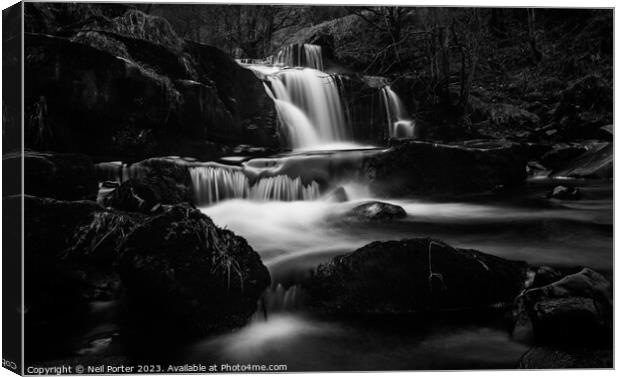 Chasing waterfalls Canvas Print by Neil Porter